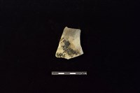 陶片藏品圖，第1張